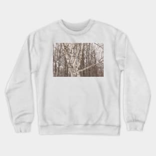 Winter forest Crewneck Sweatshirt